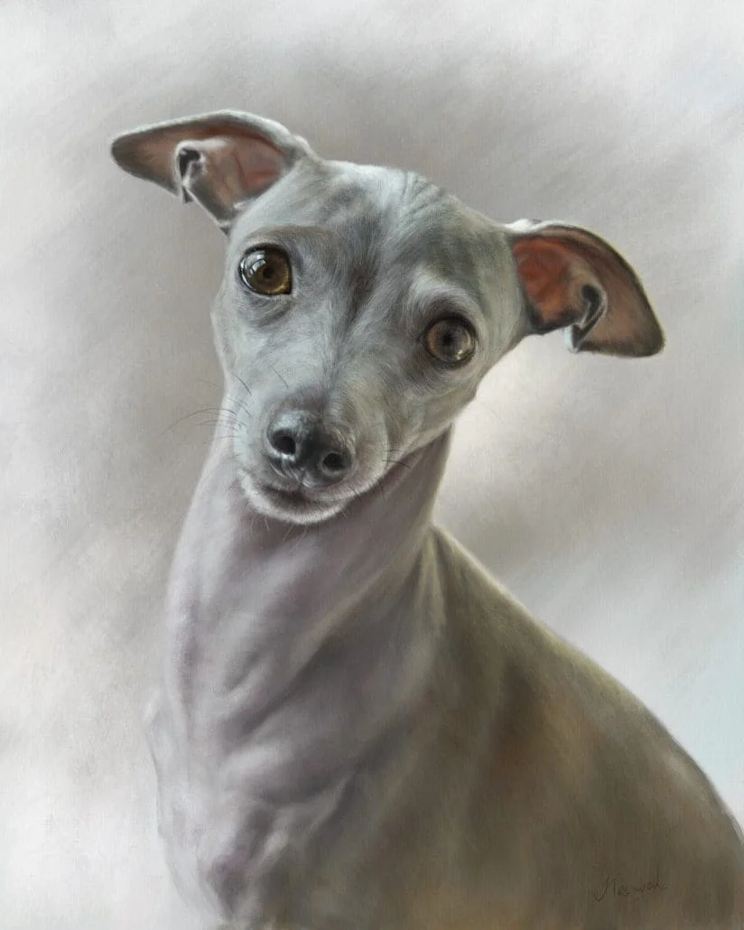 Dog Portrait Commission