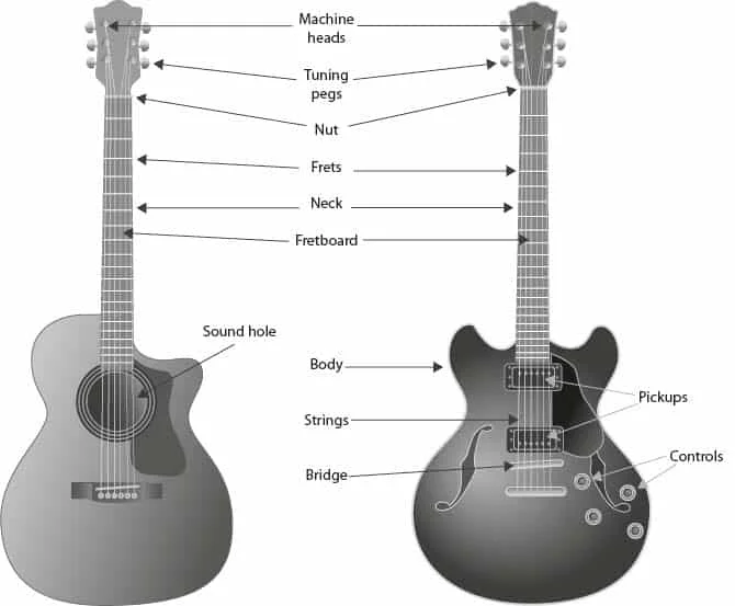 Guitar vector illustrations by James Treweek